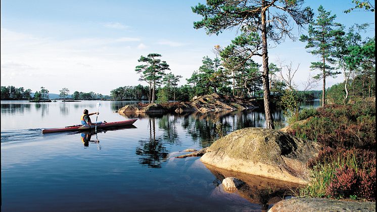 Glaskogen_2 foto_Glaskogens Camping