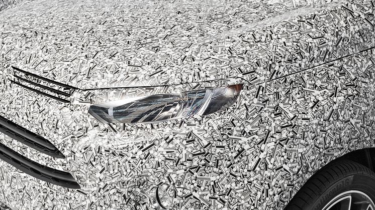 Ford 3D camouflagemønster