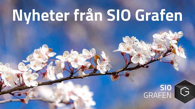Senaste nytt från SIO Grafen