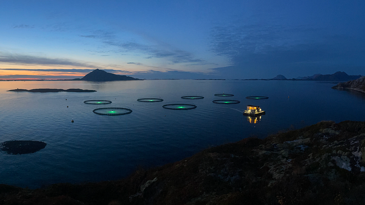 Frosvika oppdrett