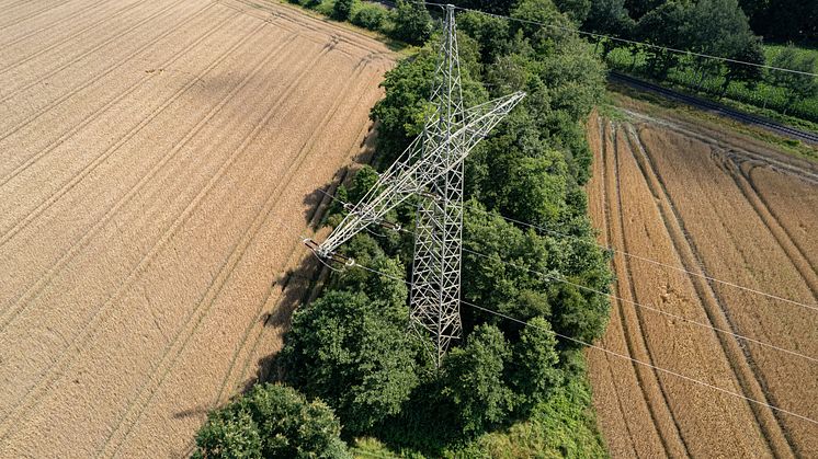 110-kV-Leitung Cloppenburg.jpg