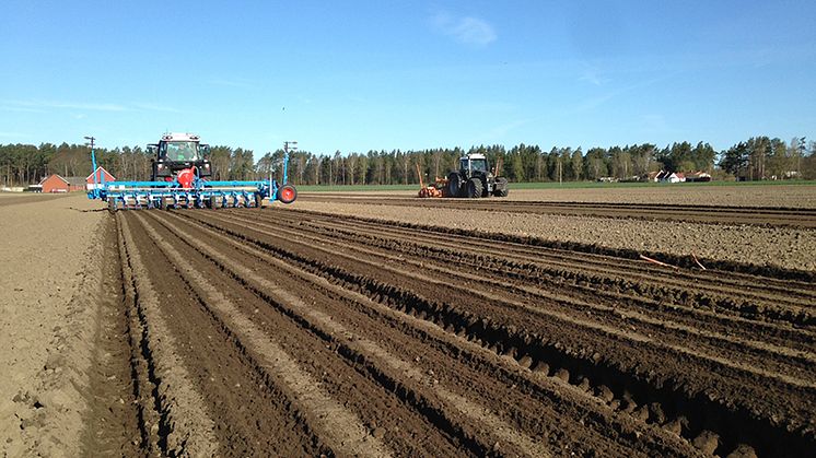 Vårsådd i fint vårväder
