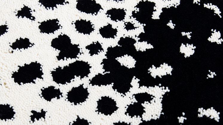 Erika Emerén - Transforming the White Cube