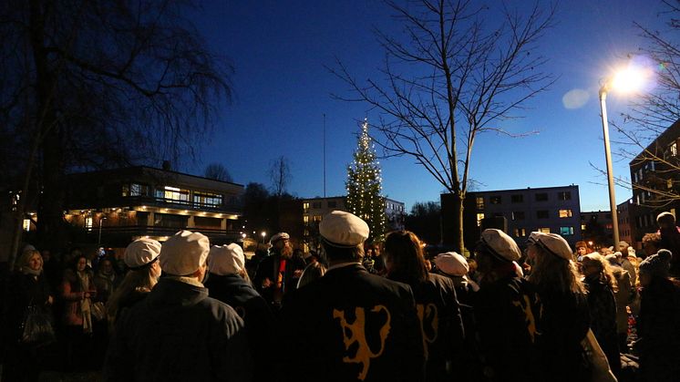 Julegrantenning på Kringsjå Studentby 