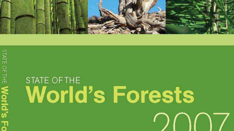 State of the World's Forests 2007 