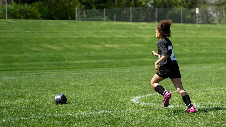 soccer-7392844_1280