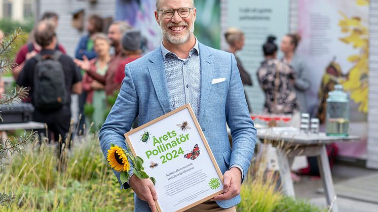 Mattias Hammarstedt, Hela Sverige blommar