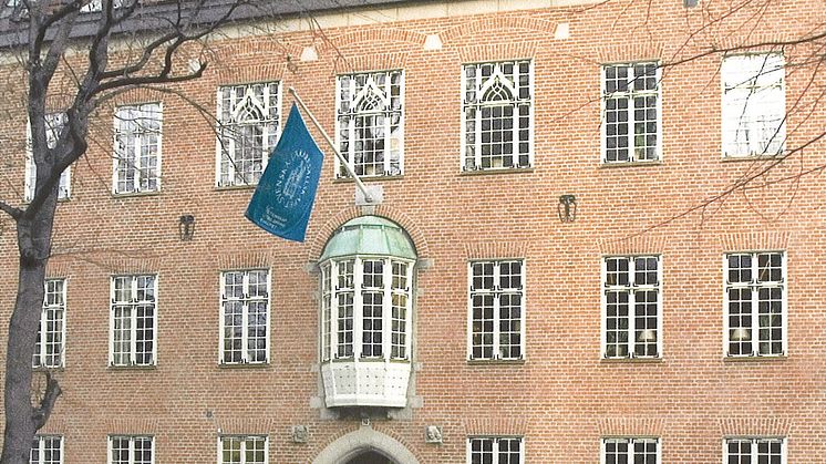 Söderberg Prize Seminar 2012 on neurodevelopmental disorders in children