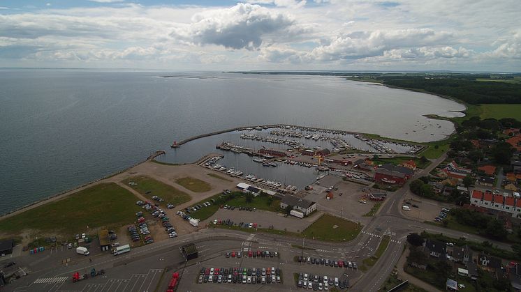 Havnegrunden