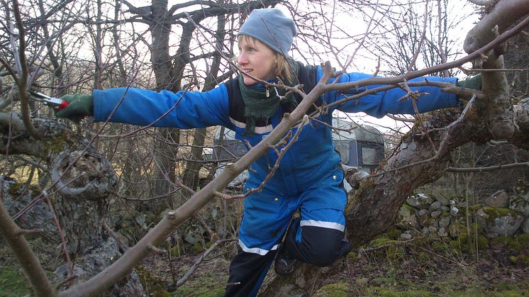 Renare vatten med ekologisk produktion