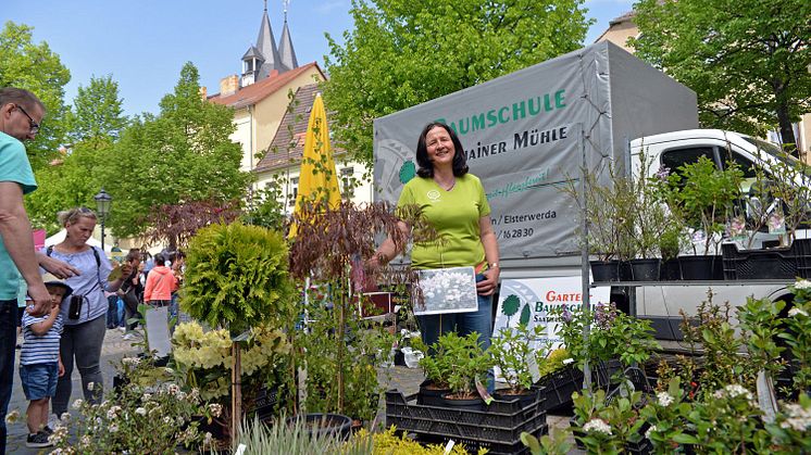 Frühlings- und Genussmarkt in Delitzsch - Foto: Christian Maurer/Stadt Delitzsch