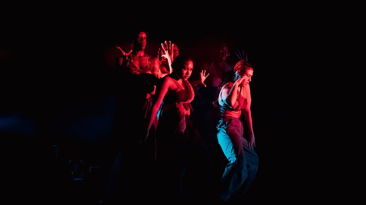 Company Nicolas Huchard - The barefoot diva