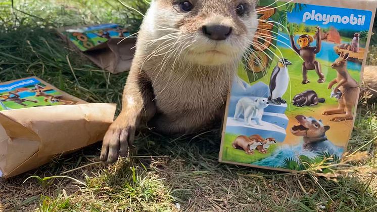 Vom 05. – 19. August 2020 laden PLAYMOBIL und der Hochwildschutzpark Hunsrück zum großen Zoo-Quiz ein!