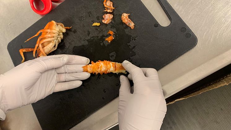 5. Analys av kräftkött