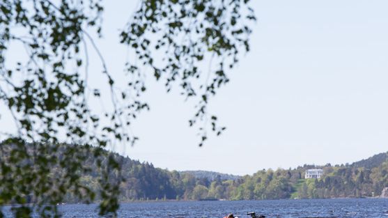 Klartecken för 550 nya bostäder i Lerum.