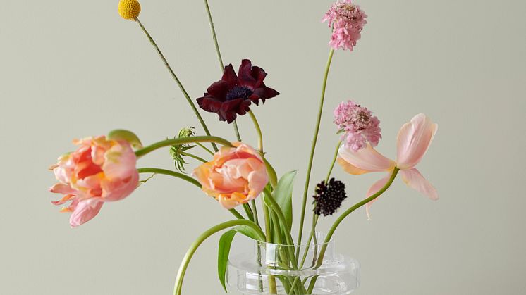 LADY Spring Summer collection 2018