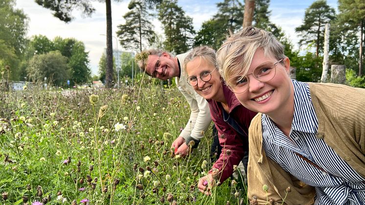 Västerås stad får Kommunpriset för sitt arbete med Malmaberg matskog