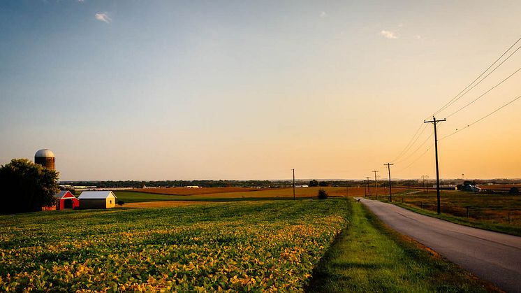 elnat_ledning_1280x650px_juli2021
