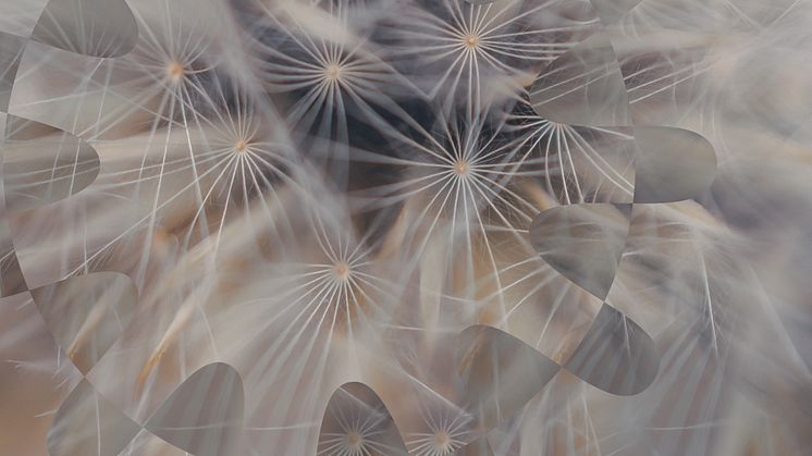 Ellevio doubles its ownership in the rapidly growing energy technology company Flower