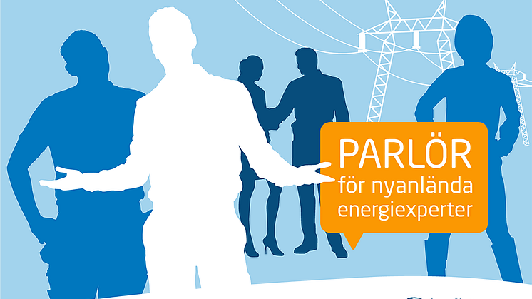 Kraftringen prisas för sin parlör för nyanlända energiexperter  