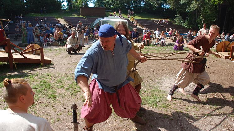 Vikingafejd
