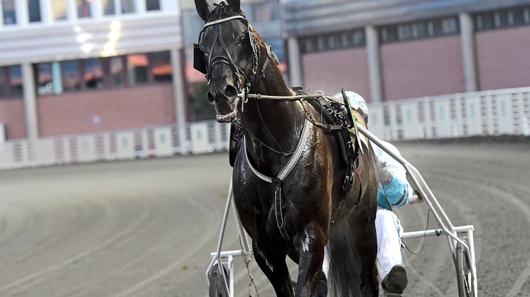 Sorbet har kvalat in till Elitloppet