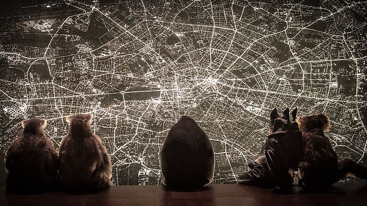 Foto: Urban Jörén