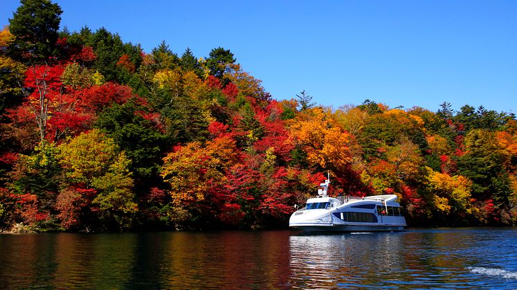【Tokyo Area Autumn Leaves】Take a Short Trip from Tokyo:Popular and Picturesque Autumn Spots You Can Reach in Just 2-3 Hours
