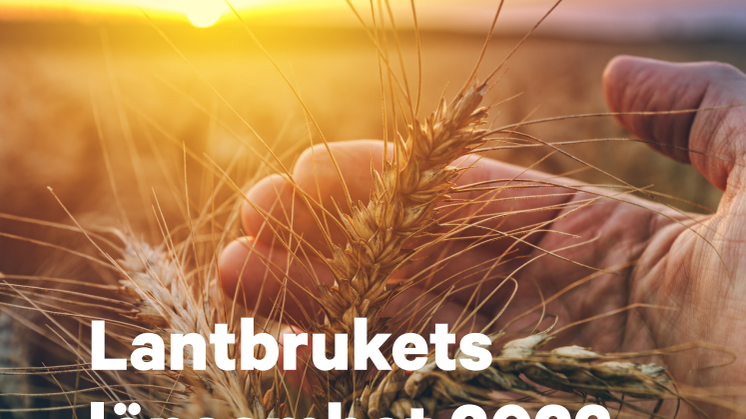 Rapport Lantbrukets lönsamhet 2023.pdf