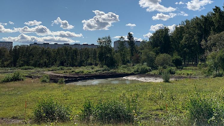 Vattenfylld schaktgrop i Igelbäckens kulturreservat. Här ska två reningsdammar på över 30 000 kvadratmeter byggas för lakvatten från gravarna, förorenat vatten från tippen och dagvatten från begravningsplatsen. I bakgrunden Tensta.