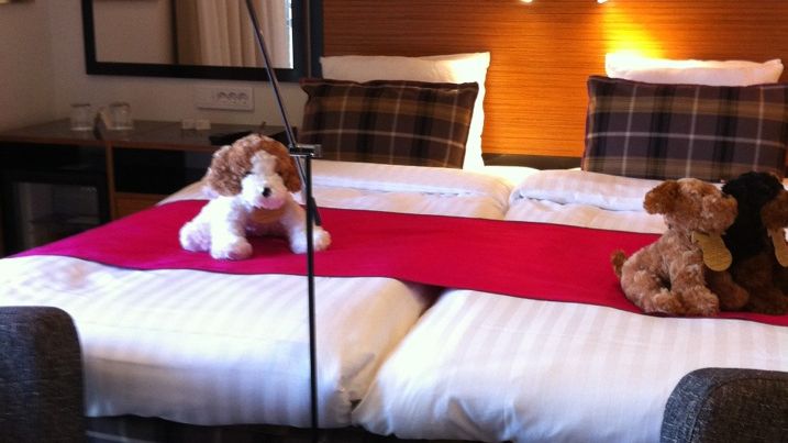 "Nya" BEST WESTERN Hotell Hudik är färdigt