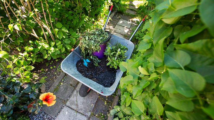 ​Nu kan alla stockholmare beställa hämtning av trädgårdsavfall