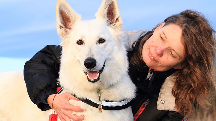 Heidi är Årets bragdhund 2013