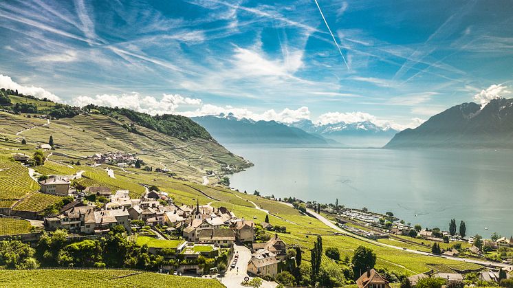 Lavaux-Fruehling © MaudeRion