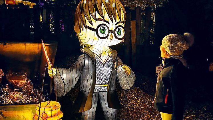 Lichtfiguren Ausstellung Freital.jpg