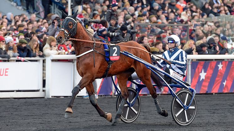 Inbjuden och klar för sista söndagen i maj förra året – men då blev han tvungen att tacka nej. Men i år får vi se Horsy Dream i Elitloppet för allra första gången. Foto: TR Bild
