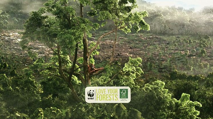 Keep the Heart of Borneo Beating