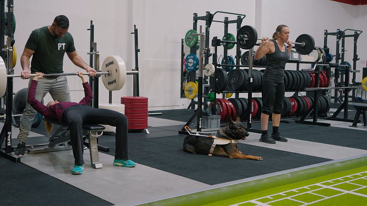 Pressbild_ledarhund_gym.png