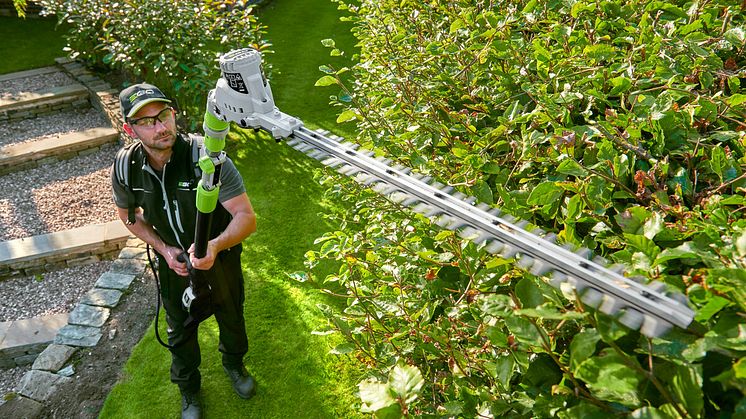 Hedgetrimmer_Model_Hedge_C 49.jpg