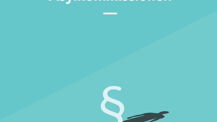 Asylkommissionens skuggdirektiv