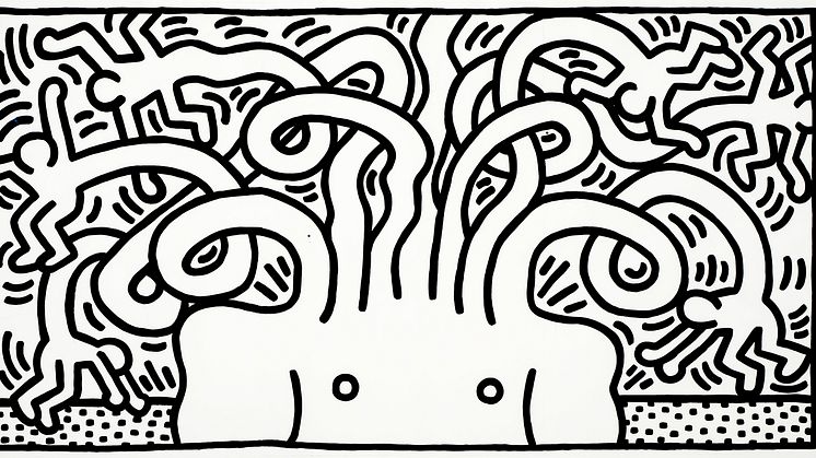 The work "Untitled (Medusa)" is the largest graphic work ever produced by Keith Haring. It is coming up for auction at Bruun Rasmussen with an estimate of DKK 750,000-800,000.