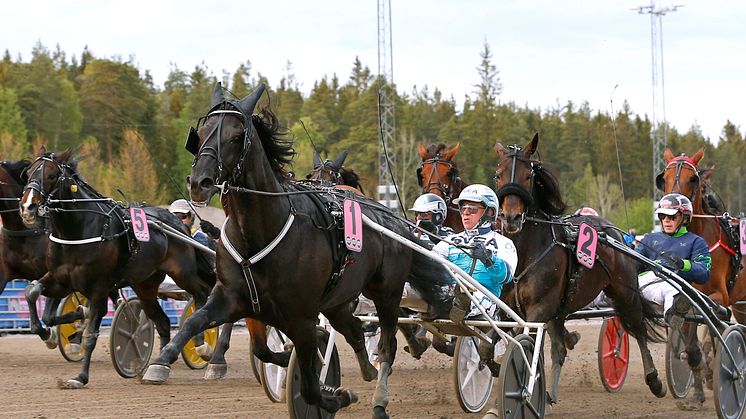 Sorbet och Örjan Kihlström vinner H.K.H Prins Daniels lopp