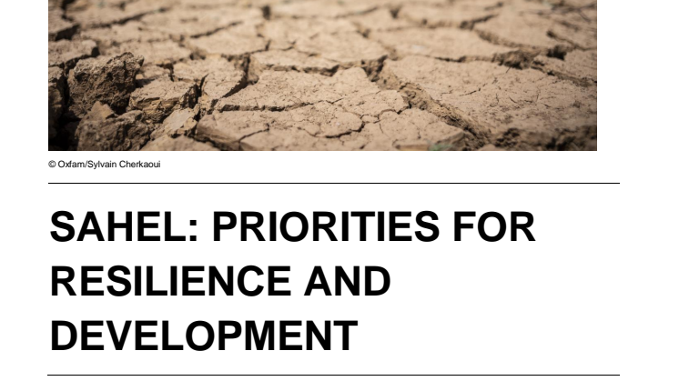 SAHEL: PRIORITIES FOR RESILIENCE AND DEVELOPMENT