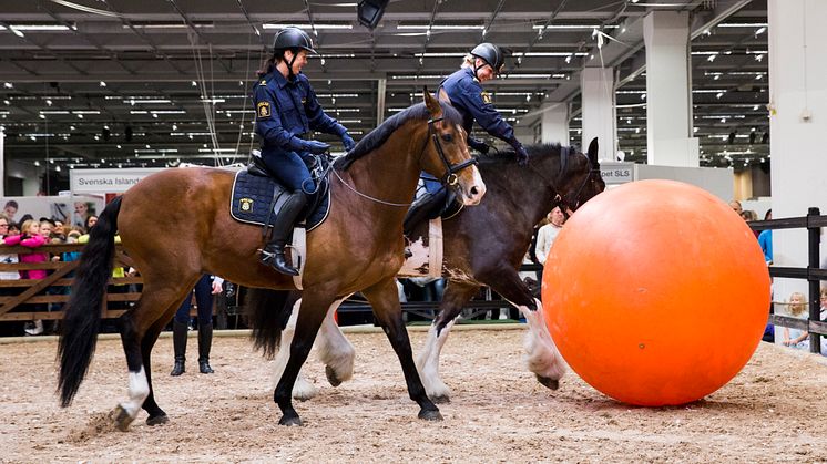 Polisens uppvisning