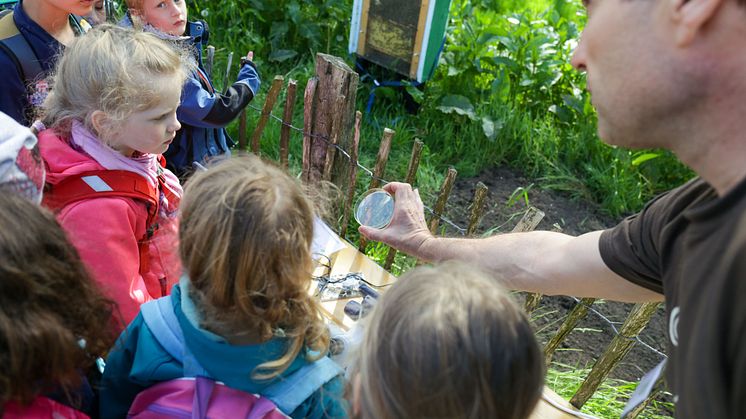 „Tag der kleinen Forscher“ 2019 – Kinder erforschen in Louisenlund die Welt des Kleinen