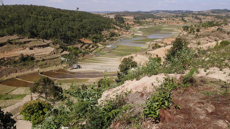 Landskap - Madagaskar