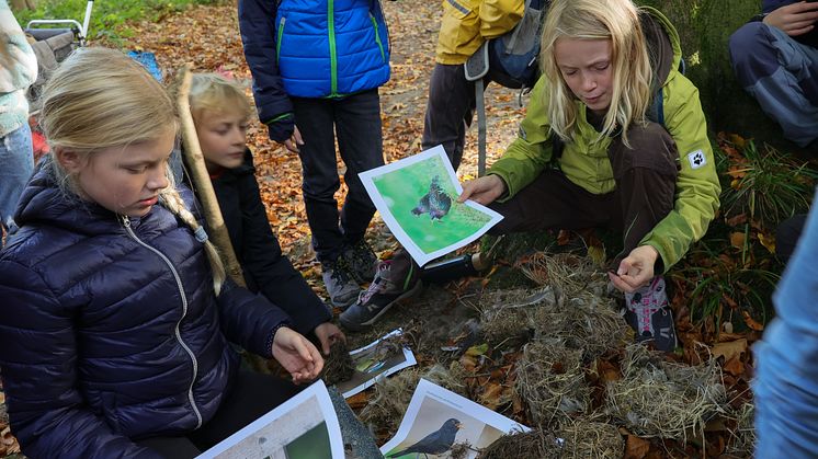 Louisenlund Forschercamp MINT Akademie Grundschule
