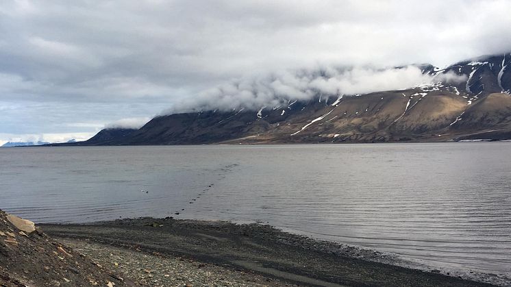 Avløpsrør ut i Adventfjorden foto Dorte Herzke NILU