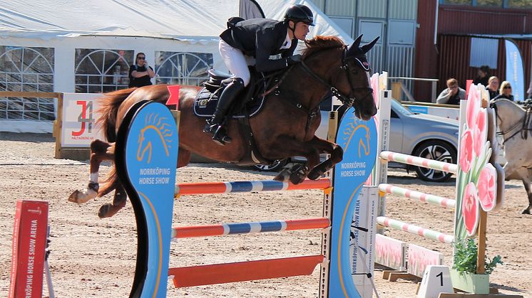 Ingemar Hammarström, född 2003, Vellinge representerar Österlens Ridklubb﻿ i finalen av Folksam Elitallsvenska på Falsterbo Horse Show 9 juli. Foto: Privat 