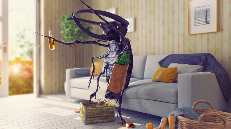EXPERT COMMENT: Filthy rich? Insects prefer to live in wealthier houses research says